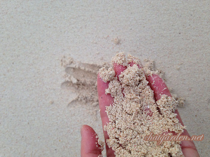 Pink Sand.jpg