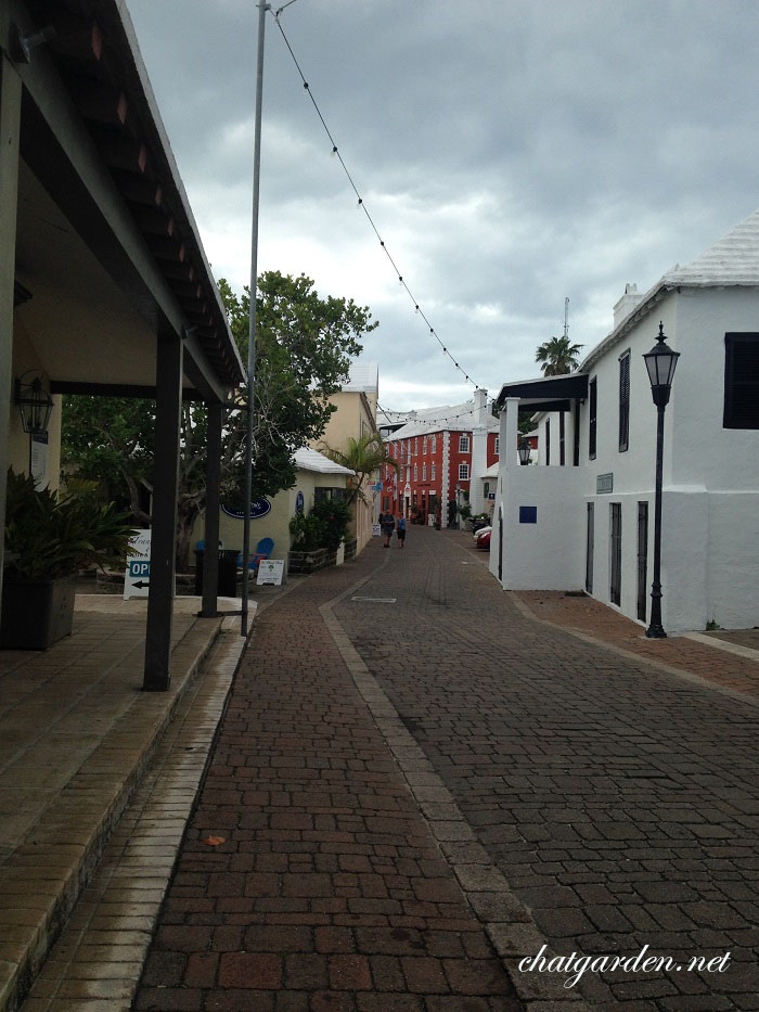 Street of St. George Town.JPG