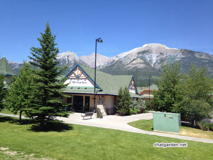 RBC in Canmore.jpg
