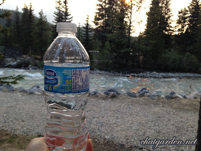 Drinking Bow River Water.jpg